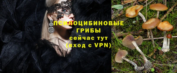 ALPHA PVP Алзамай