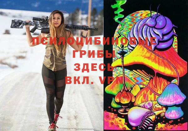 ПСИЛОЦИБИНОВЫЕ ГРИБЫ Алексин