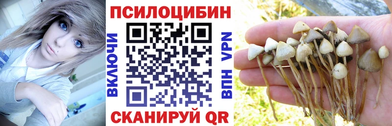 OMG сайт  Яхрома  Галлюциногенные грибы MAGIC MUSHROOMS 